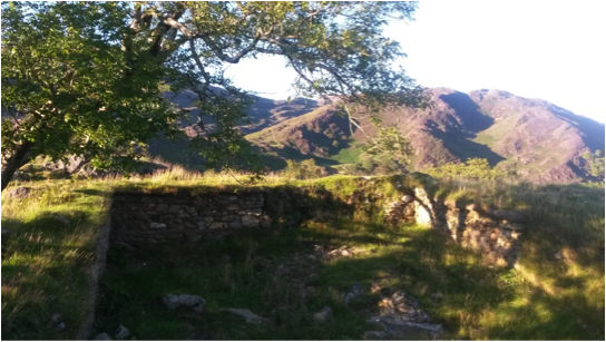 Dinas Emrys Sacred Site North Wales