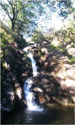 Sacred Site of Dinas Emrys North Wales