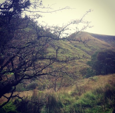 Cwm Pennant holy pilgrimage Sacred Sites Wales