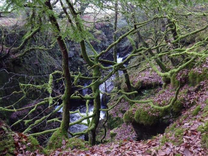 The River Cynfal - scared site of Huw Llwyd’s Pulpit