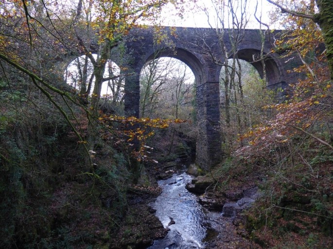 The river Cynfal - rich in fish and eels