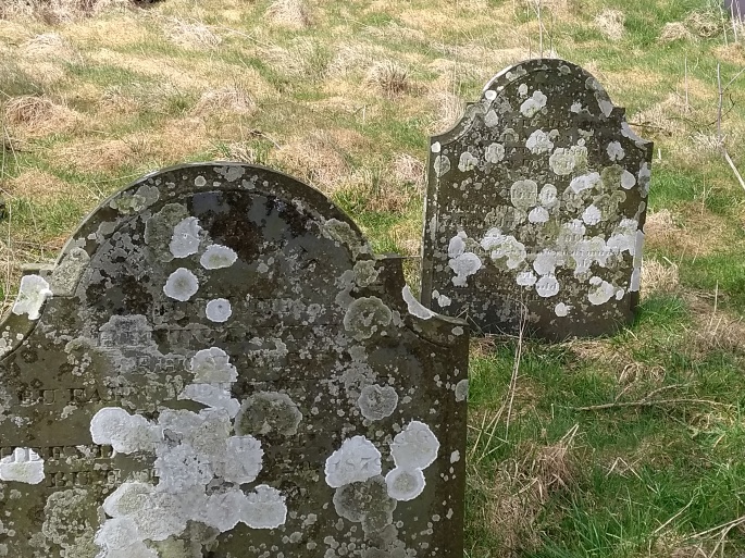 Beautifully Aged Tombstones